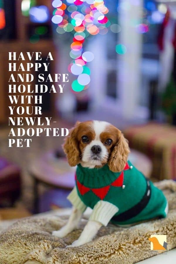 PETS AND THE HOLIDAYS. KEEP YOUR DOGS, CATS, AND GUESTS SAFE WHILE ...