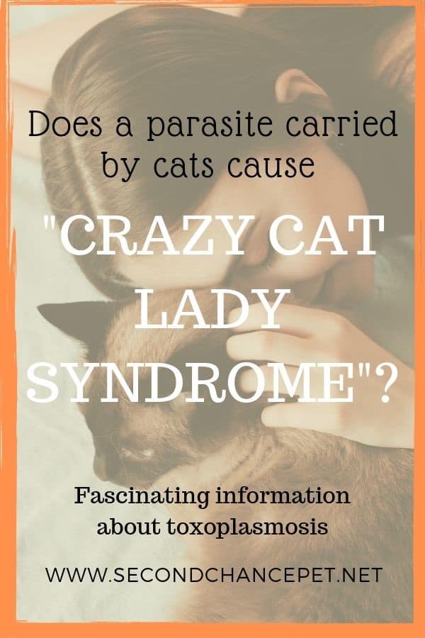 Can a small parasite turn you into a crazy cat lady?