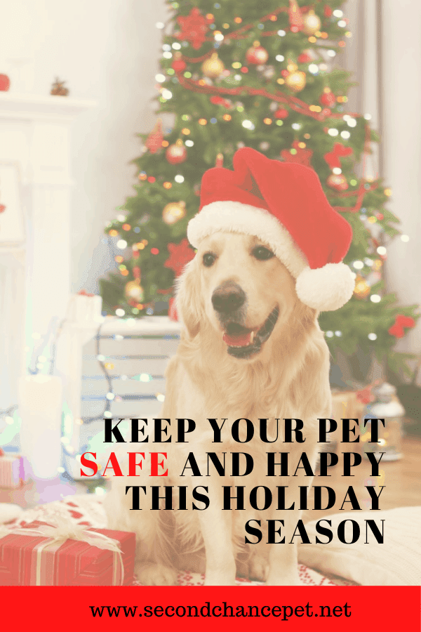 PETS AND THE HOLIDAYS. KEEP YOUR DOGS, CATS, AND GUESTS SAFE WHILE ...